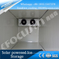 Foucusun solar powered containerized easy move and installation ice storage